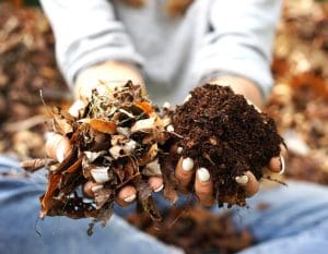 Composting leaves, soil health, leaf mold, beneficial composting for gardening and lawns, York, PA