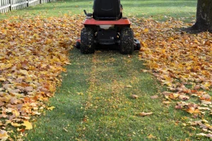 Mowing vs bagging leaves on a lawn and the soil health benefits, York, PA