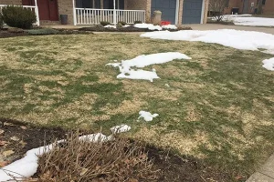 winter soil health determined by growing season preparation, York, PA 