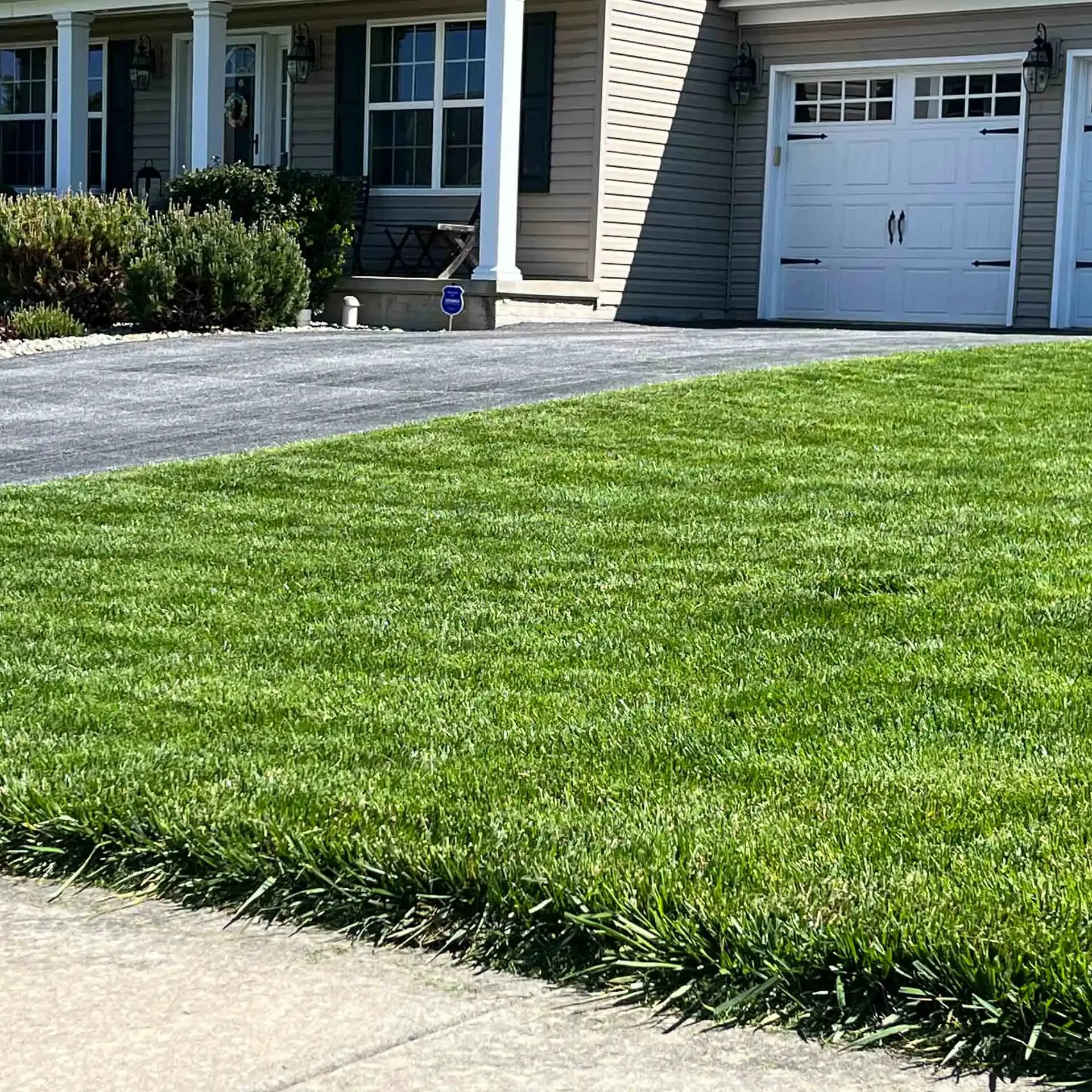 IMG_7121 York County, PA Lawn Care Companies